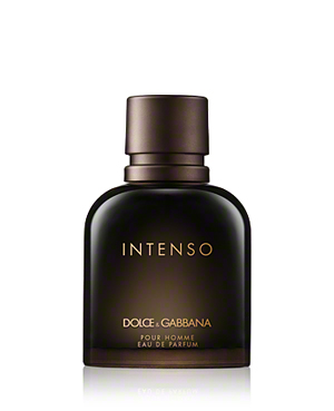 intenso dolce gabbana macys