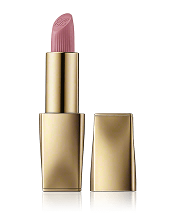 Estée Lauder Pure Color Matte Lipstick 816 Suit Up (3,5 g)
