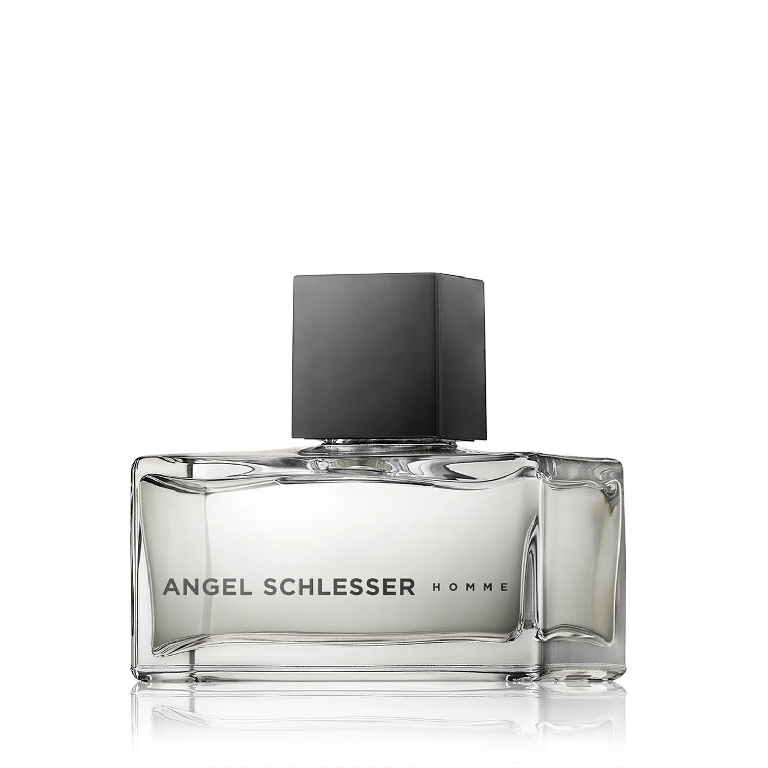 Angel Schlesser Homme Eau de Toilette Spray (75 ml)