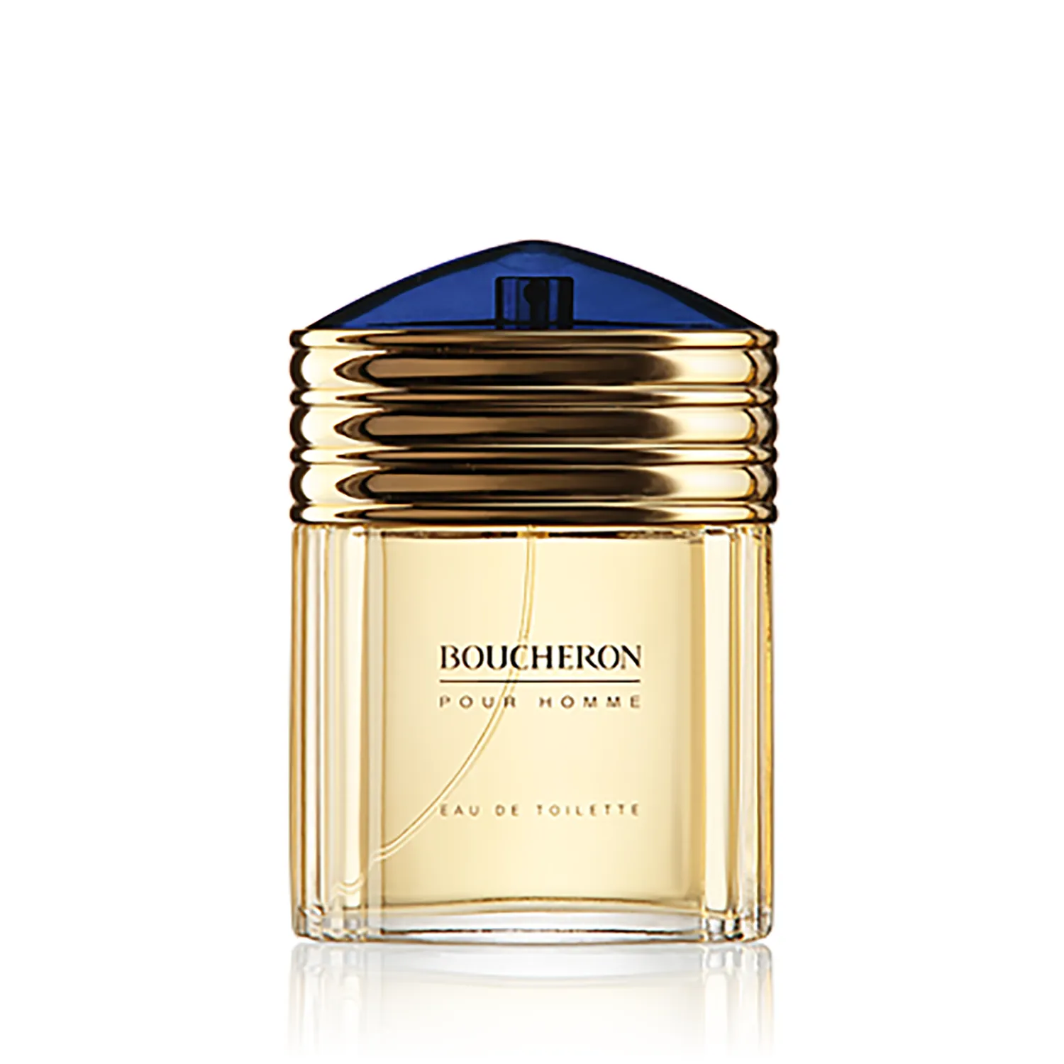 Boucheron pour Homme Eau de Toilette Spray (100 ml)