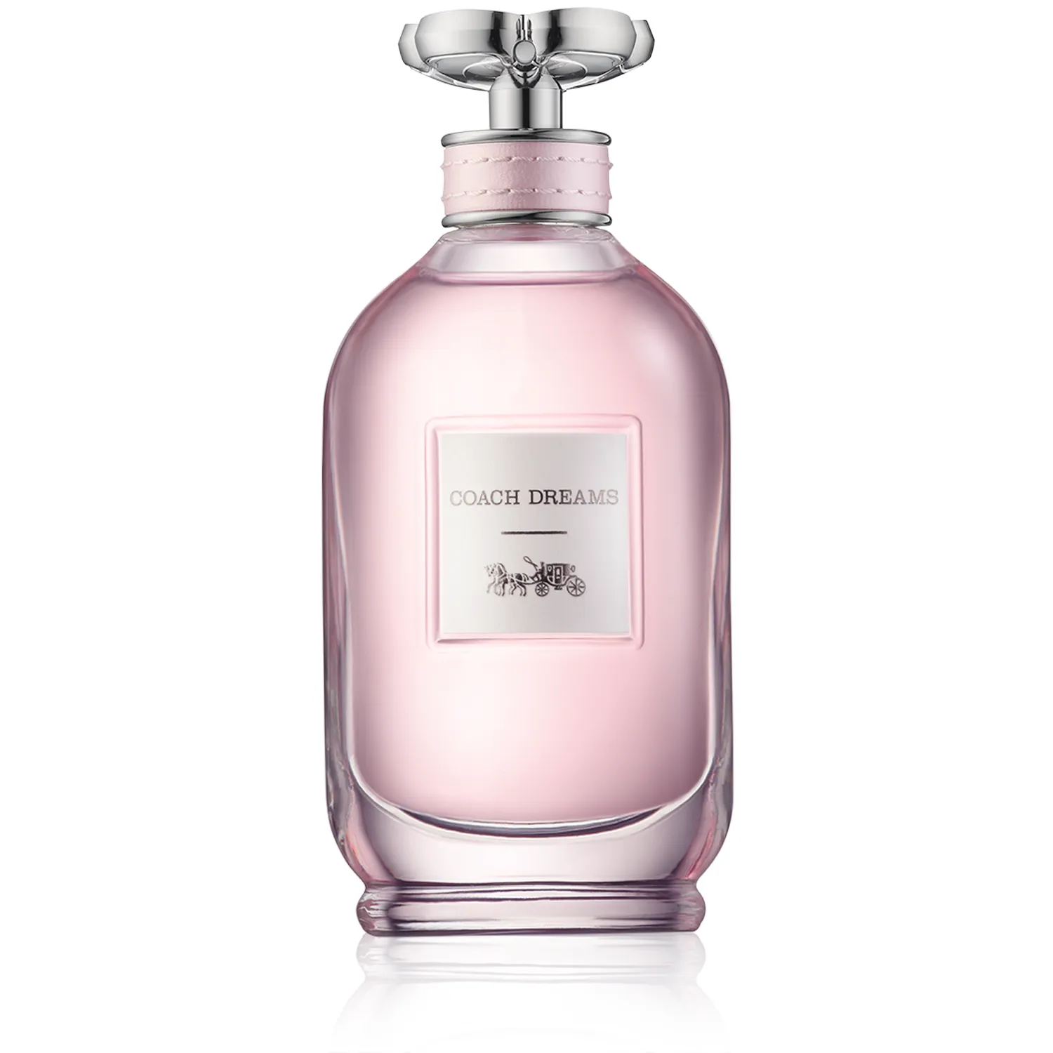 Coach Dreams Eau de Parfum Spray (90 ml)