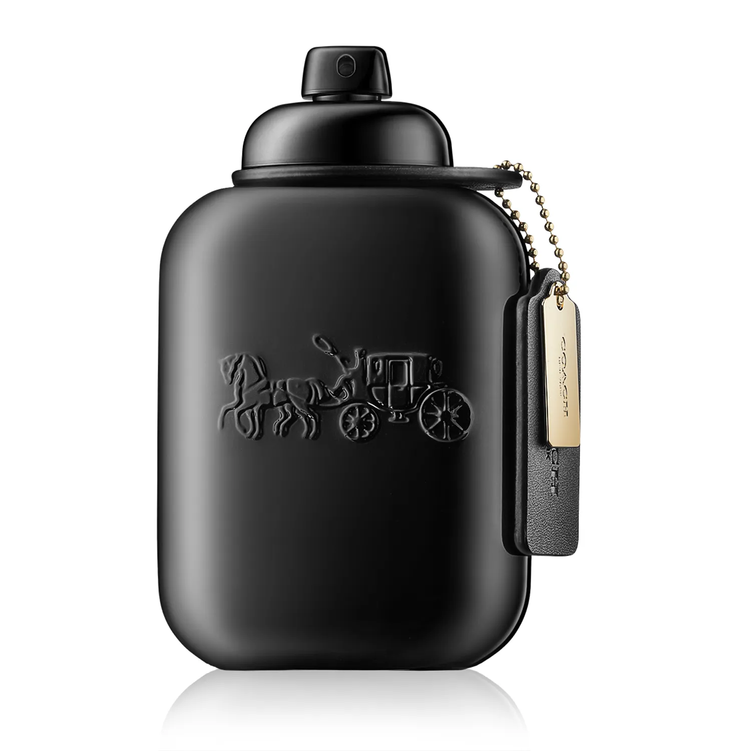 Coach for Men Eau de Parfum Spray (100 ml)