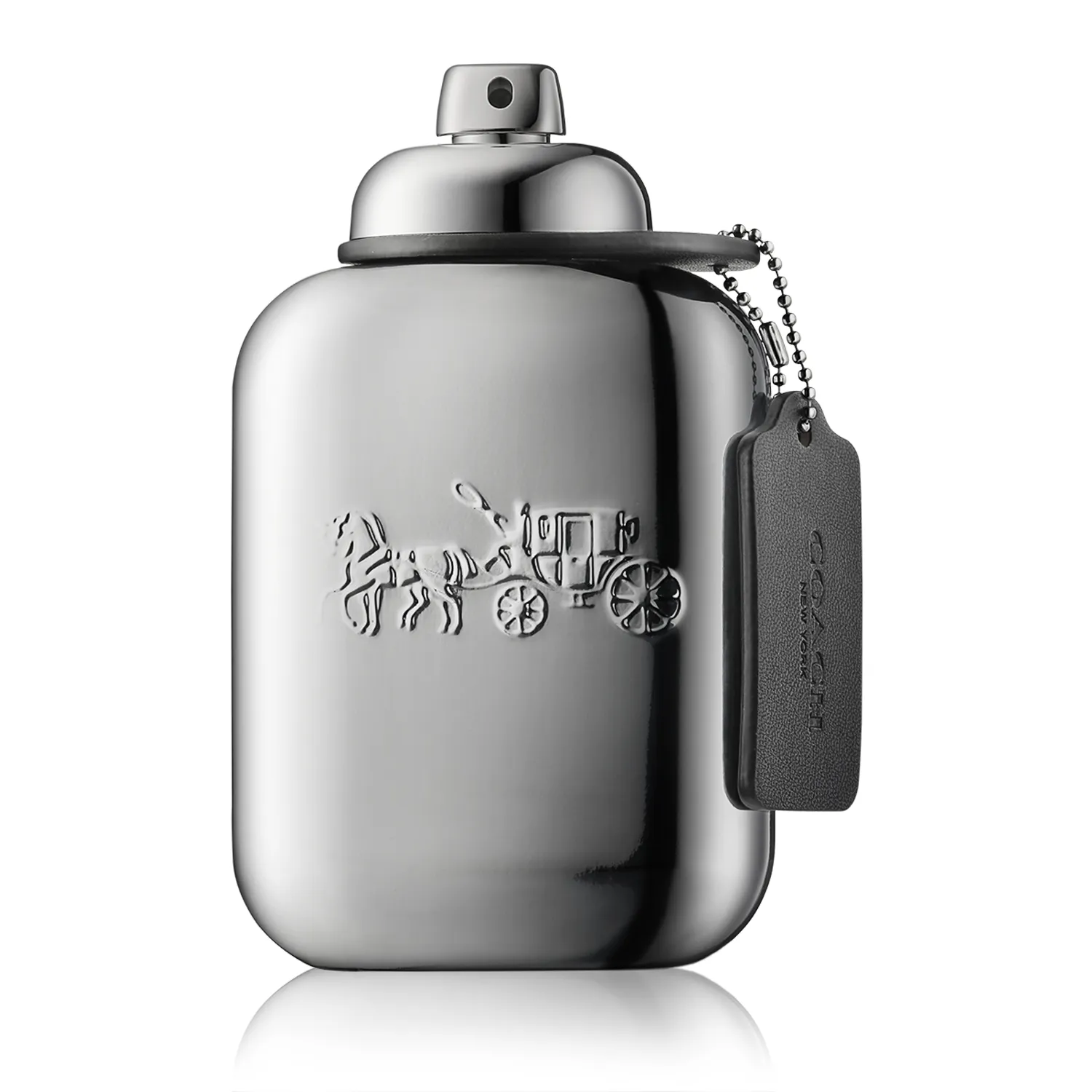 Coach Platinum Eau de Parfum Spray (100 ml)