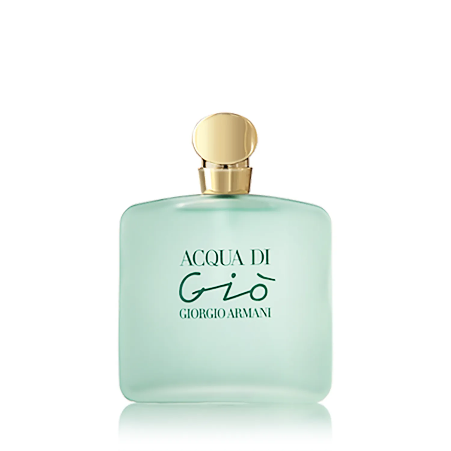 Giorgio Armani Acqua di Gio Femme Eau de Toilette Spray (100 ml)
