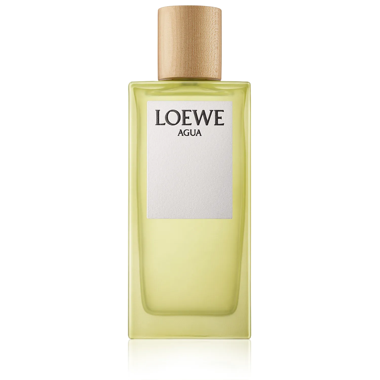 Loewe Agua Eau de Toilette Spray (100 ml)