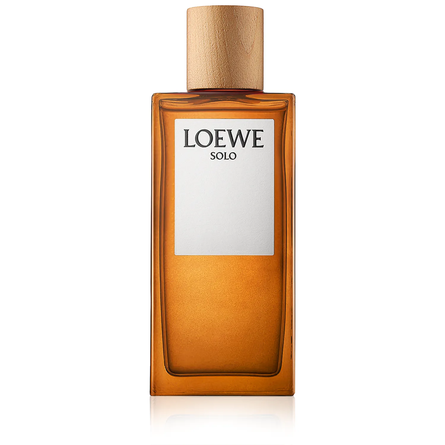 Loewe Solo Eau de Toilette Spray (100 ml)