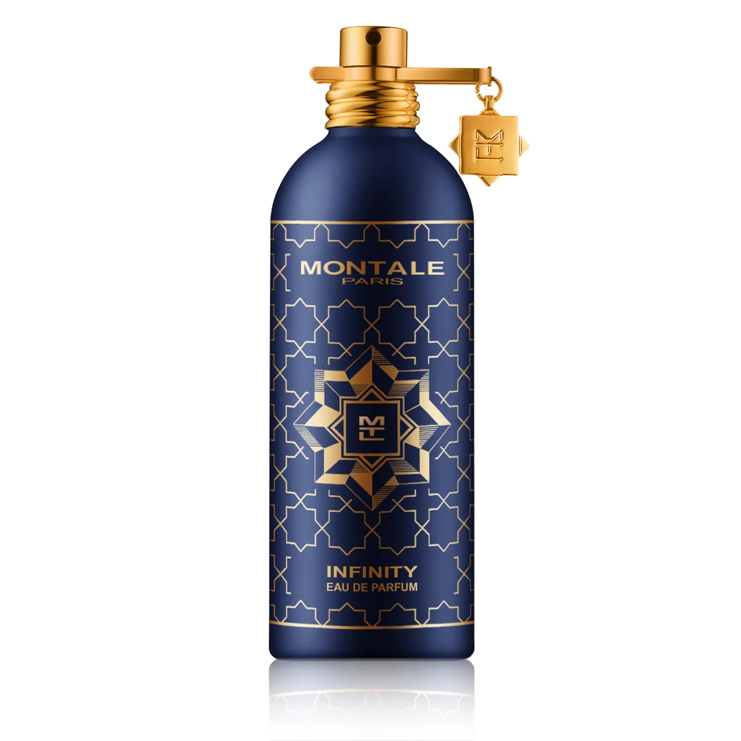 Montale Infinity Eau de Parfum Spray (100 ml)