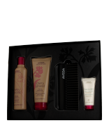 Aveda Cherry Almond Softening and Detangling Set Shampoo