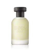 Bois 1920 Vetiver Ambrato Eau de Parfum Spray 100 ml