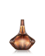 Calvin Klein Secret Obsession Eau de Parfum Spray 50 ml