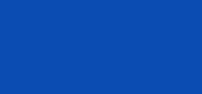Nail Polish 919 Got The Blues