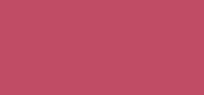Pot Rouge Velvet Matte 41 Guava Punch