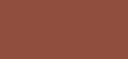 Skin Foundation Stick Walnut W-098