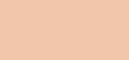 Cover-Expert SPF 15 04 Rosy Beige