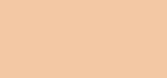 Cover-Expert SPF 15 05 Peach Beige