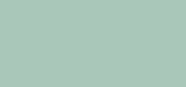 Le Vernis 197 Artise