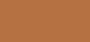 Skin Illusion Tinted Moisturizer 06