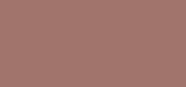 All About Shadow AG Nude Rose