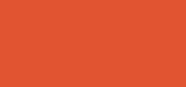Rouge Dior Forever 732 Forever Vibrant