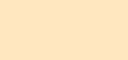 Foundation 001 Cashew