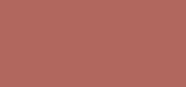 Beautiful Color Radiance Blush 10 Terrarose