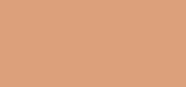 Flawless Finish 11 Toasty Beige