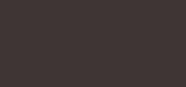 Dualsenses Color Revive Dark Brown to Black