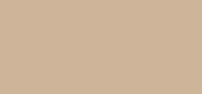 Style Color Dusky Blonde