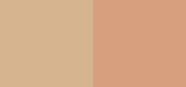 Secret Camouflage Concealer SC-2