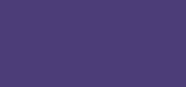 Nail Polish Crazy Blueberry