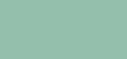 Nail Polish I Love Mint