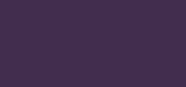 Pro Longwear Fluidline Macroviolet