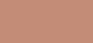 Pro Palette Powder Blush Refill Pan Coppertone Matte
