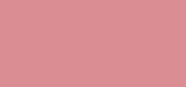 Pro Palette Powder Blush Refill Pan Desert Rose Matte