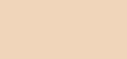 Studio Fix Powder Plus Foundation NC10