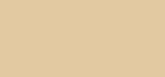 Studio Fix Powder Plus Foundation NC13
