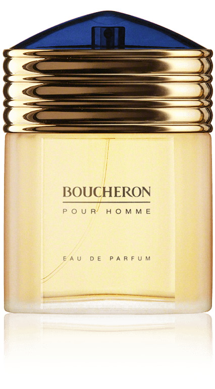 Boucheron pour Homme Eau de Parfum Spray (100 ml)
