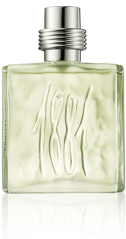 Cerruti 1881 pour Homme Aftershave (100 ml)