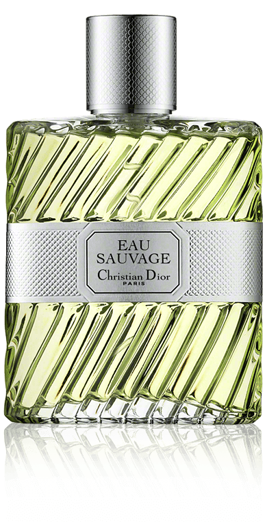 Dior Eau Sauvage Eau de Toilette Spray (100 ml)