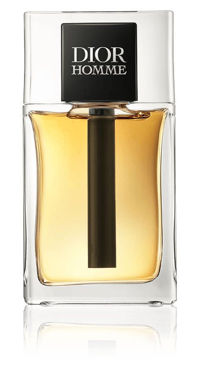 Dior Homme Eau de Toilette Spray (100 ml)