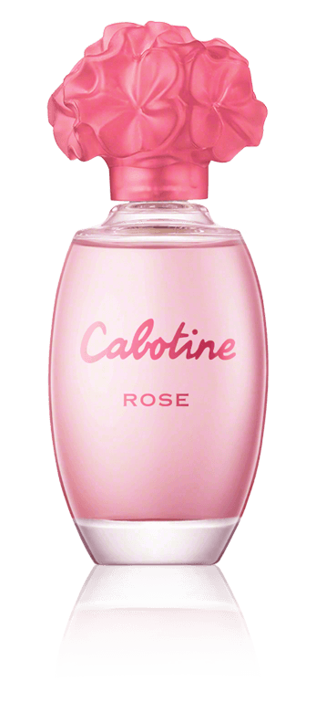 Cabotine Rose