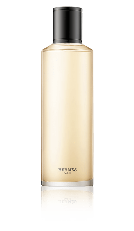 Hermès Terre d'Hermès Eau de Parfum Intense Nachfüllung (200 ml)