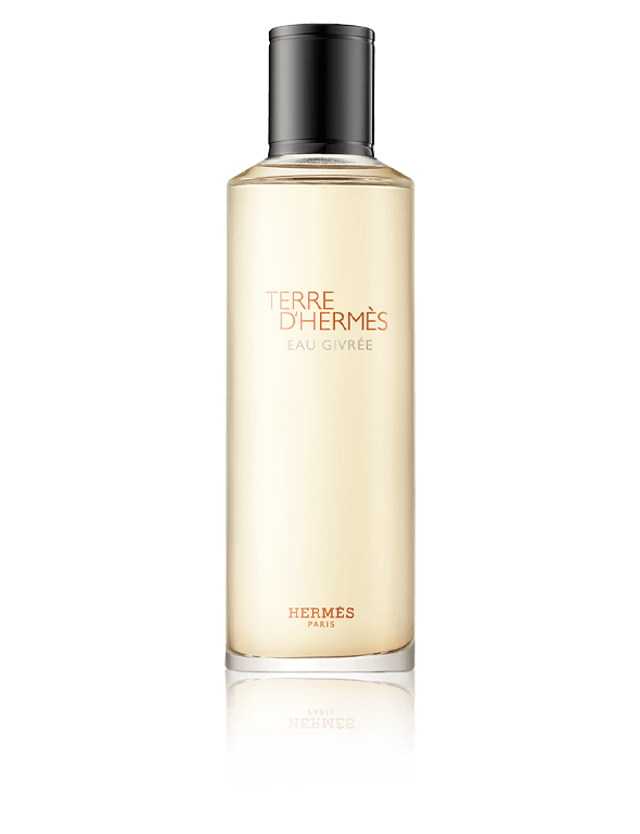 Hermès Terre d'Hermès Eau Givrée Eau de Parfum Nachfüllung (200 ml)
