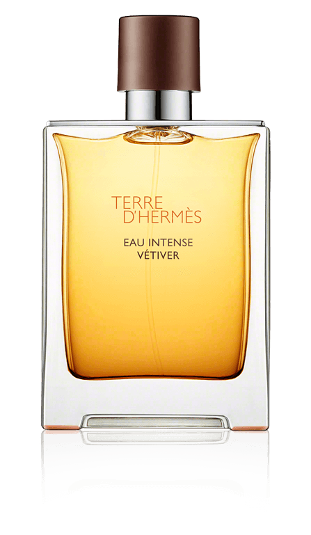 Hermès Terre d'Hermès Eau Intense Vétiver Eau de Parfum Spray (100 ml)