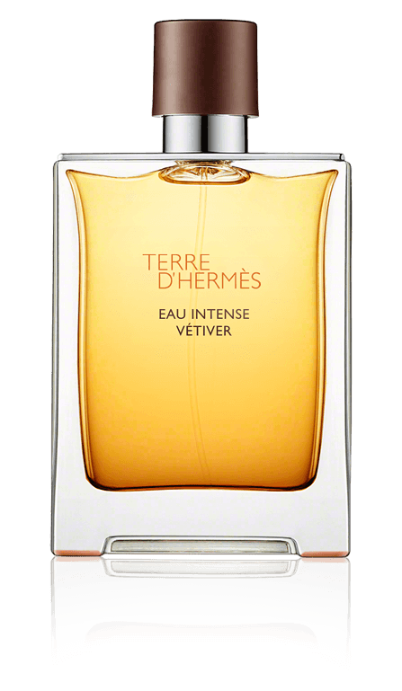 Hermès Terre d'Hermès Eau Intense Vétiver Eau de Parfum Spray (200 ml)