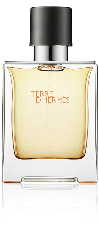 Hermès Terre d'Hermès Eau de Toilette Spray (50 ml)