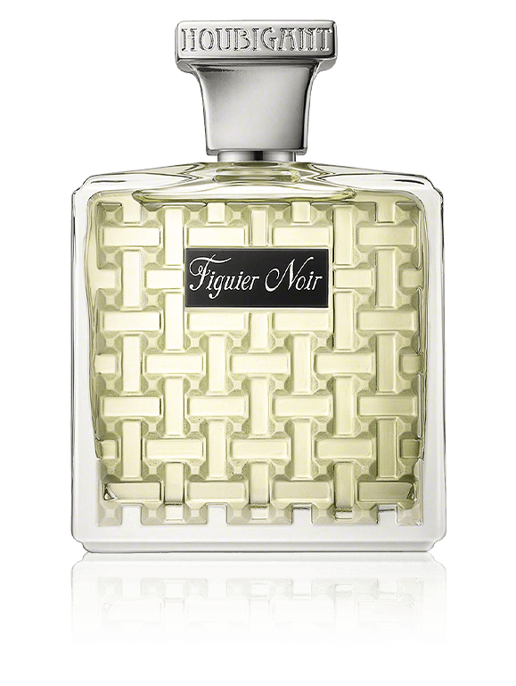 Figuier Noir