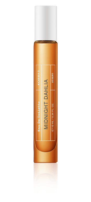 MIDNIGHT DAHLIA