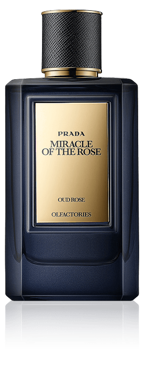 Miracle of the Rose