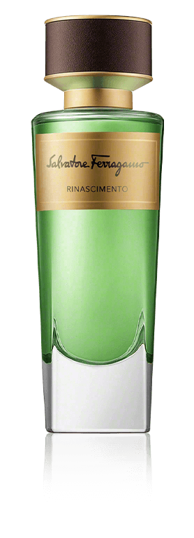 Rinascimento
